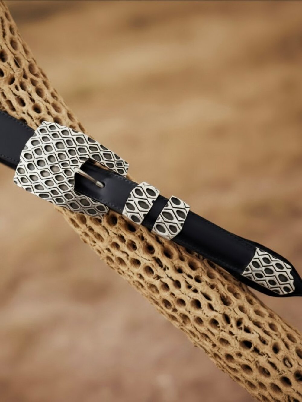 Danny Romero Cholla Ranger Set